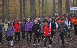 509fea6e3a228_018 [800x600].jpg